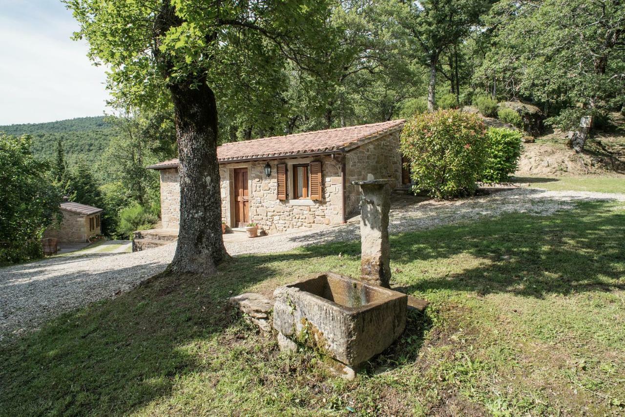 Maison d'hôtes Casa Rancacci à Mercatale  Extérieur photo